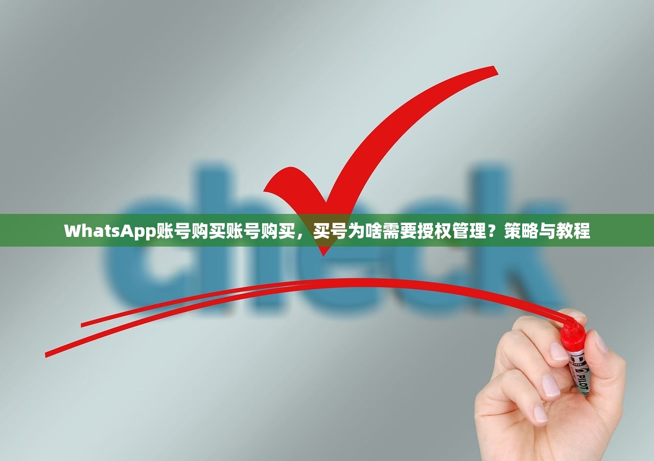 出售WhatsApp账号购买账号平台怎么选择长期号,学习指南怎么判断?