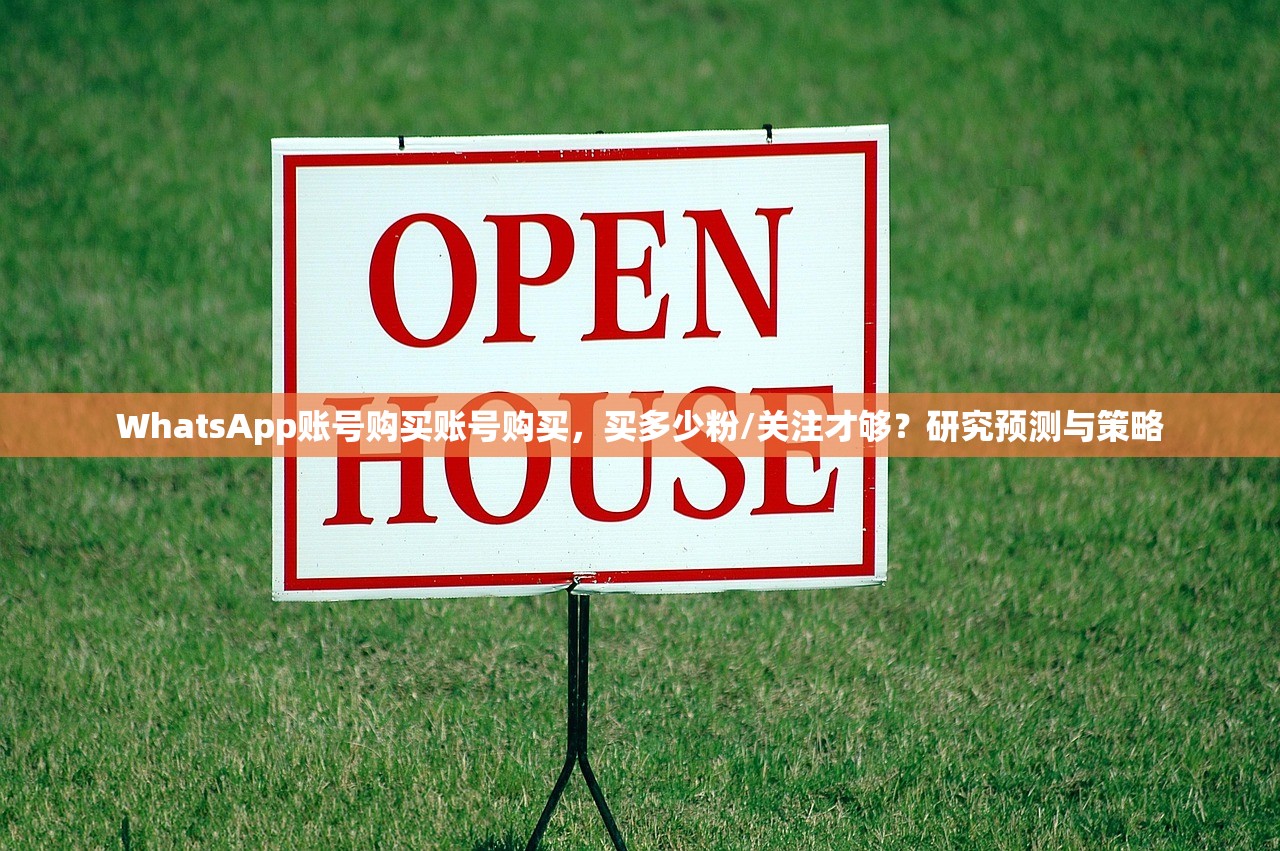 WhatsApp账号购买账号购买，买多少粉/关注才够？研究预测与策略