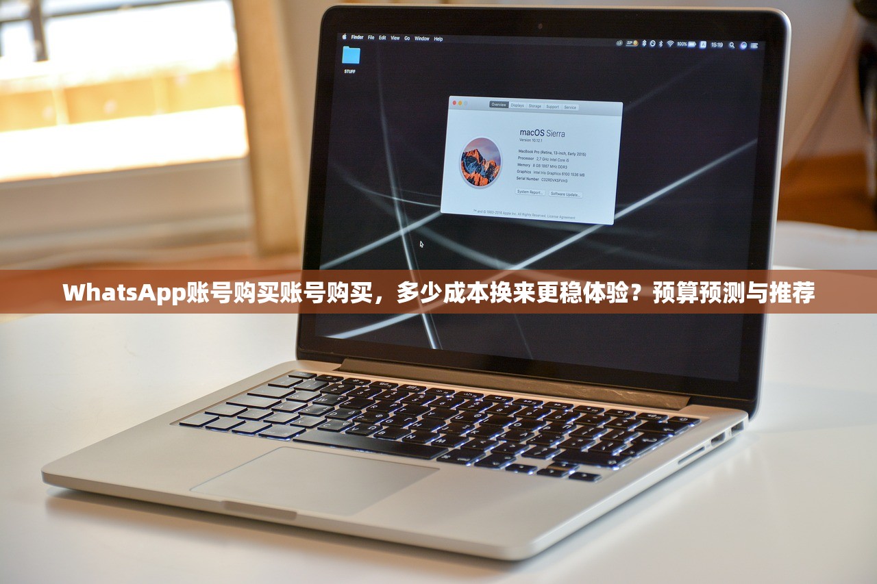 WhatsApp账号购买账号购买,多少成本换来更稳体验?预算预测与推荐