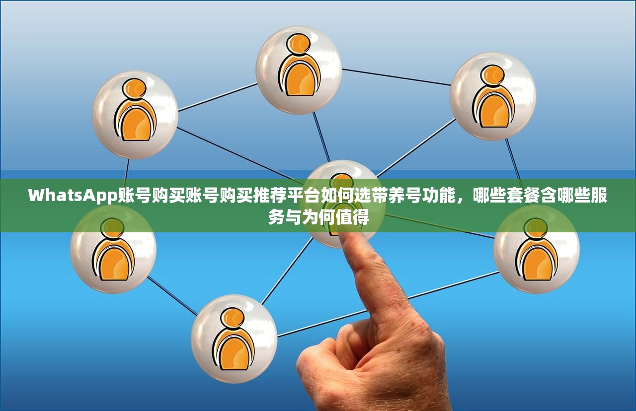 WhatsApp账号购买账号购买推荐平台如何选带养号功能,哪些套餐含哪些服务与为何值得
