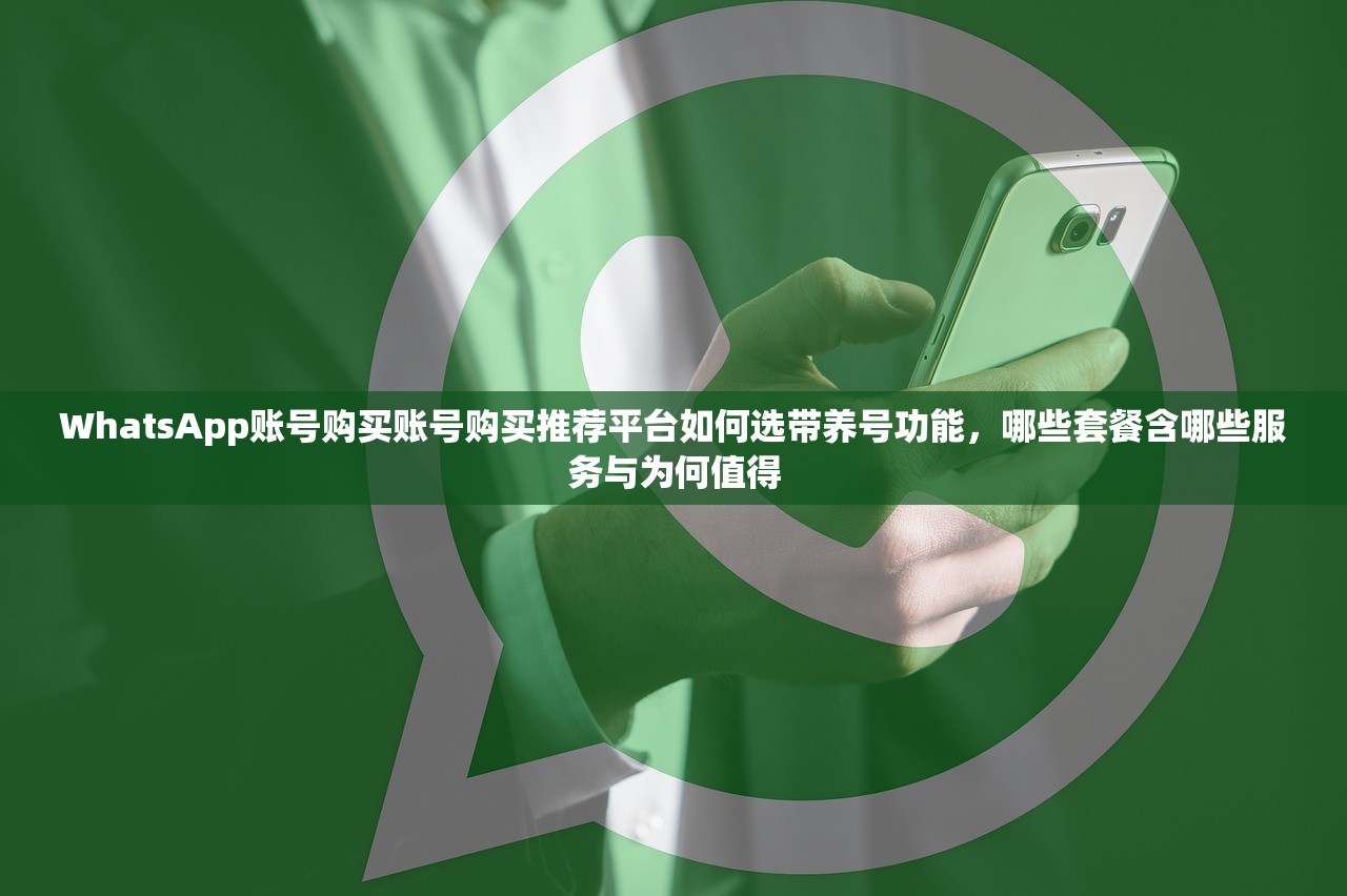 WhatsApp账号购买账号购买推荐平台如何选带养号功能,哪些套餐含哪些服务与为何值得