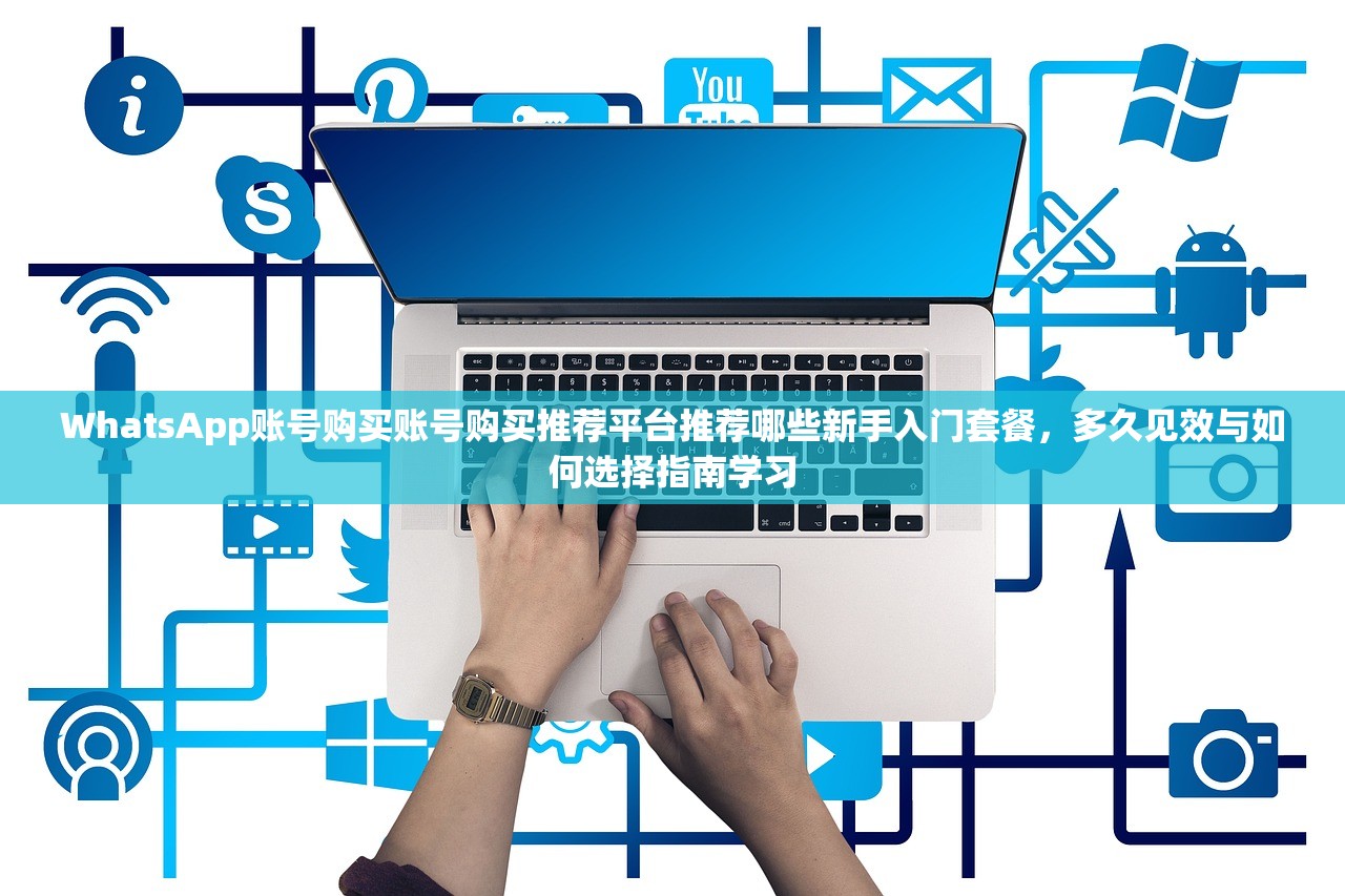 WhatsApp账号购买小号自助下单,谁是最适合的使用人群与评测