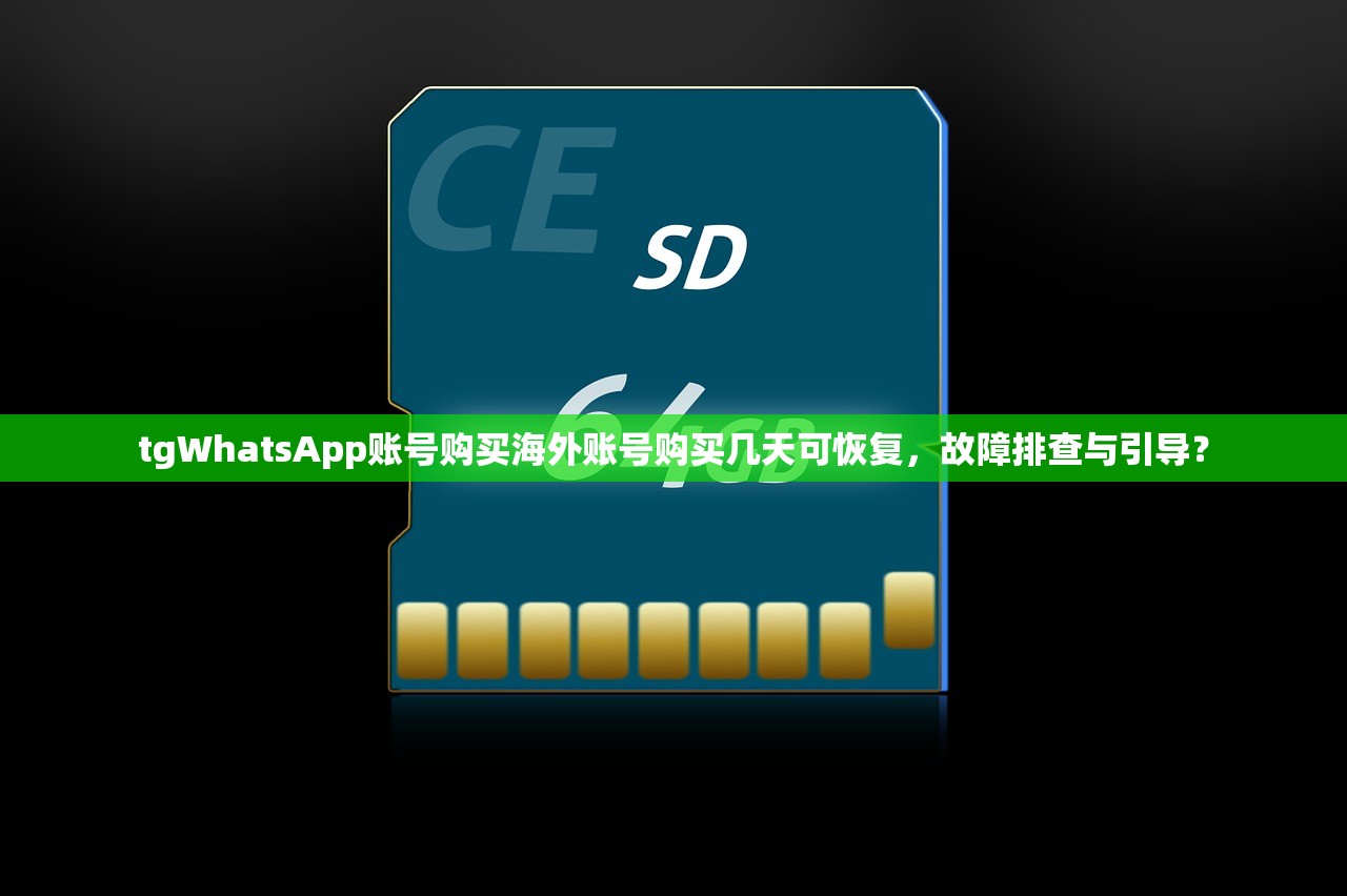 WhatsApp账号购买小号自助下单,为什么选择自助下单更省时