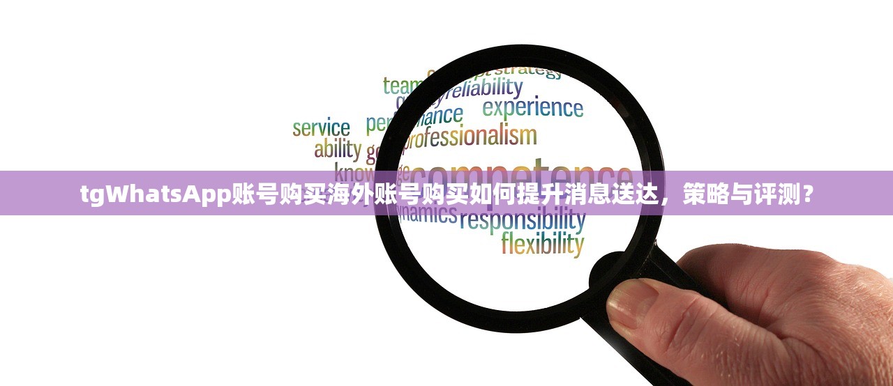 WhatsApp账号购买小号批发自助购买替代方案,不用原型号怎么买怎么选替代性价比如何