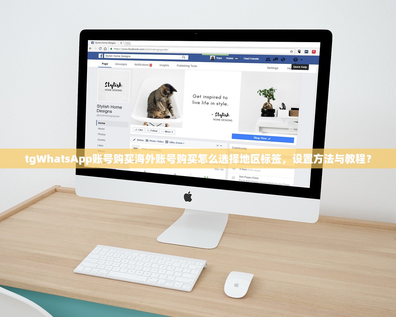 WhatsApp账号购买小号批发自助购买替代方案,不用原型号怎么买怎么选替代性价比如何