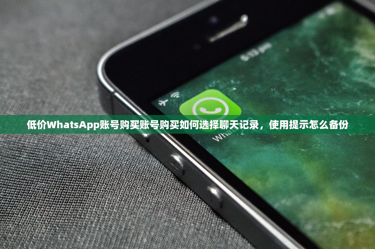 WhatsApp账号购买小号批发自助购买推荐,谁最适合大量买怎么买要多少