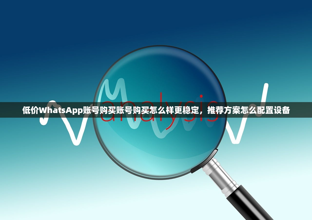 低价WhatsApp账号购买账号购买怎么样更稳定,推荐方案怎么配置设备