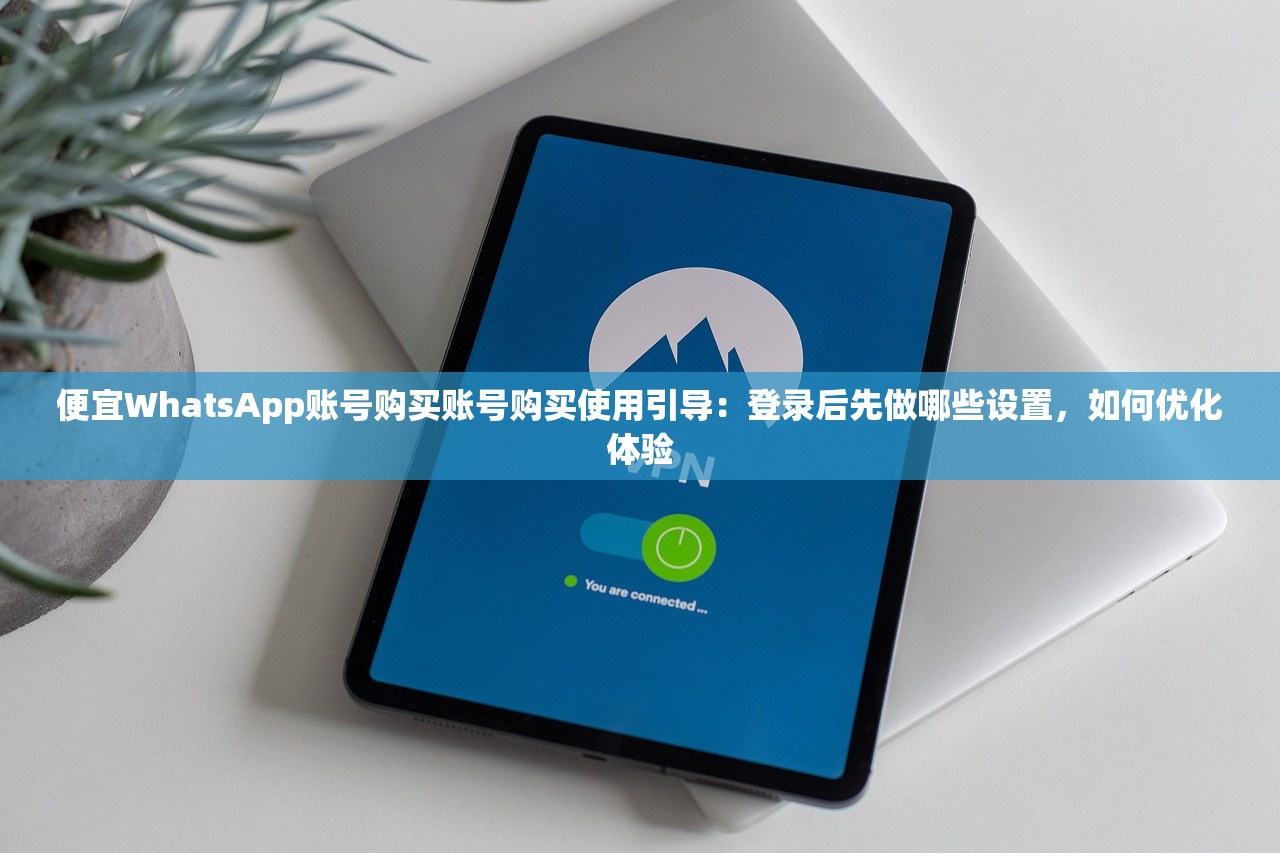 便宜WhatsApp账号购买账号购买使用引导：登录后先做哪些设置，如何优化体验