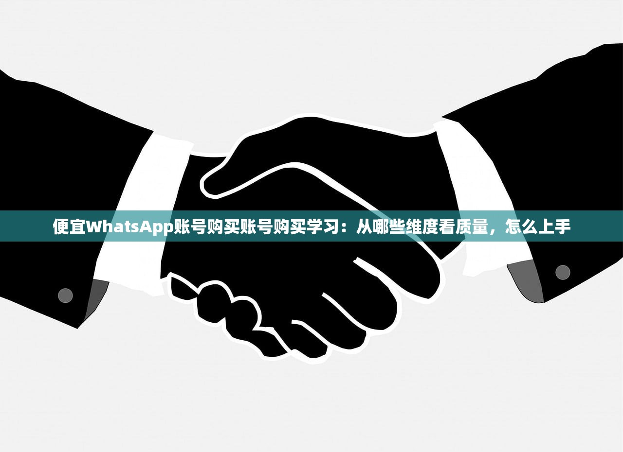 便宜WhatsApp账号购买账号购买学习:从哪些维度看质量,怎么上手
