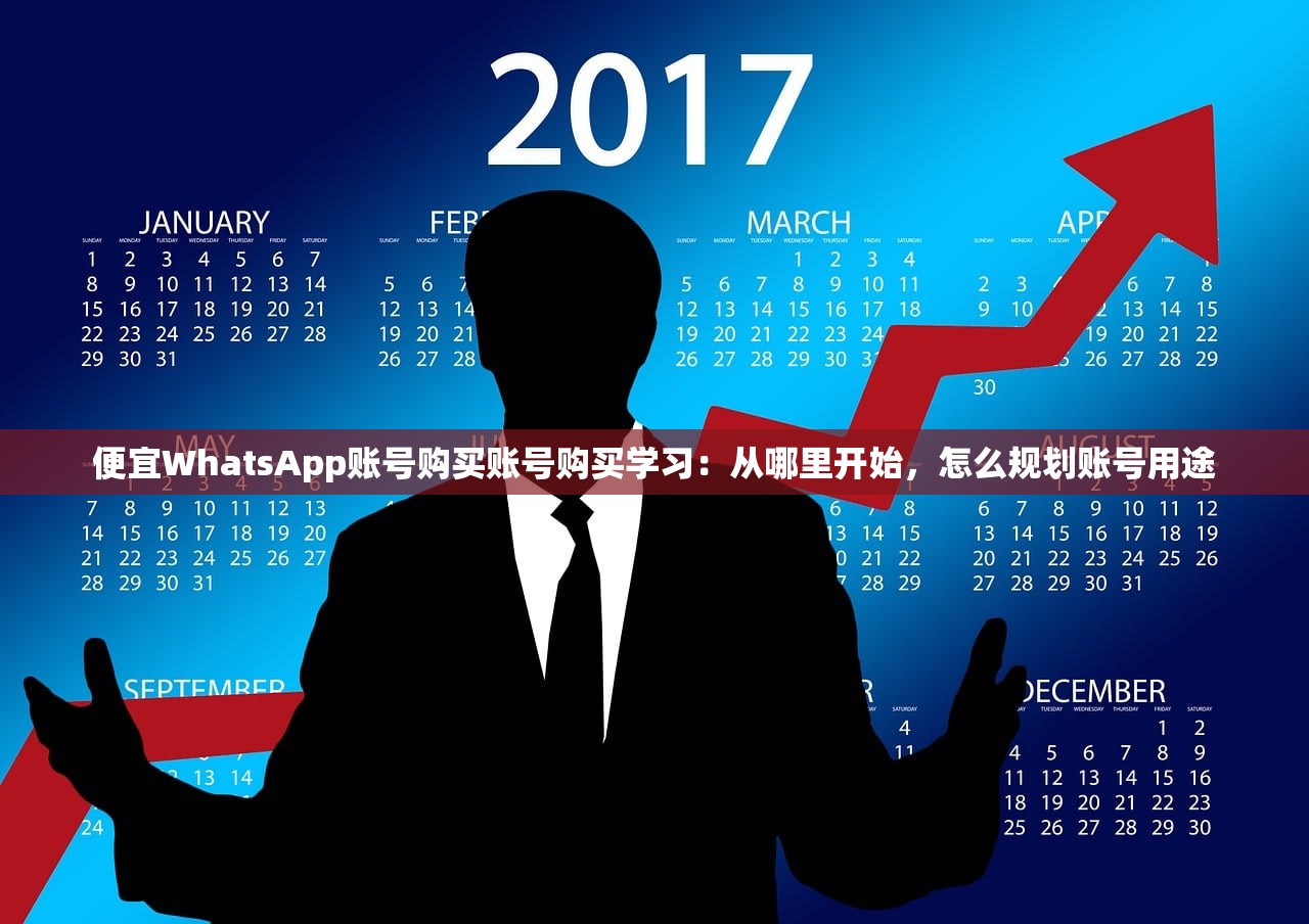国外WhatsApp账号购买账号购买元,为什么会失败?排错教程与使用提示!