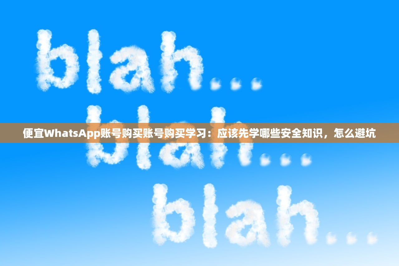 便宜WhatsApp账号购买账号购买学习:应该先学哪些安全知识,怎么避坑