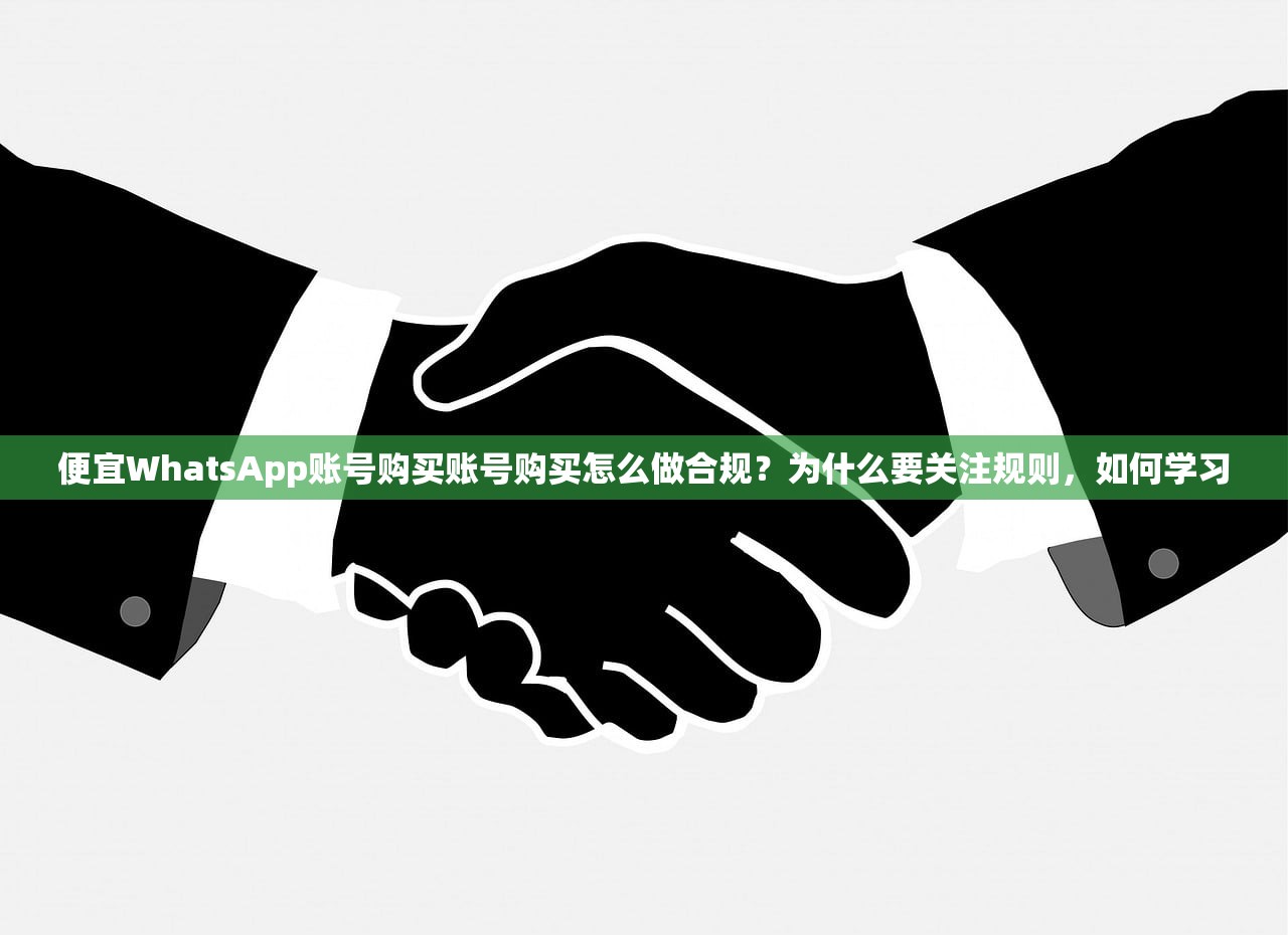 便宜WhatsApp账号购买账号购买怎么做合规?为什么要关注规则,如何学习