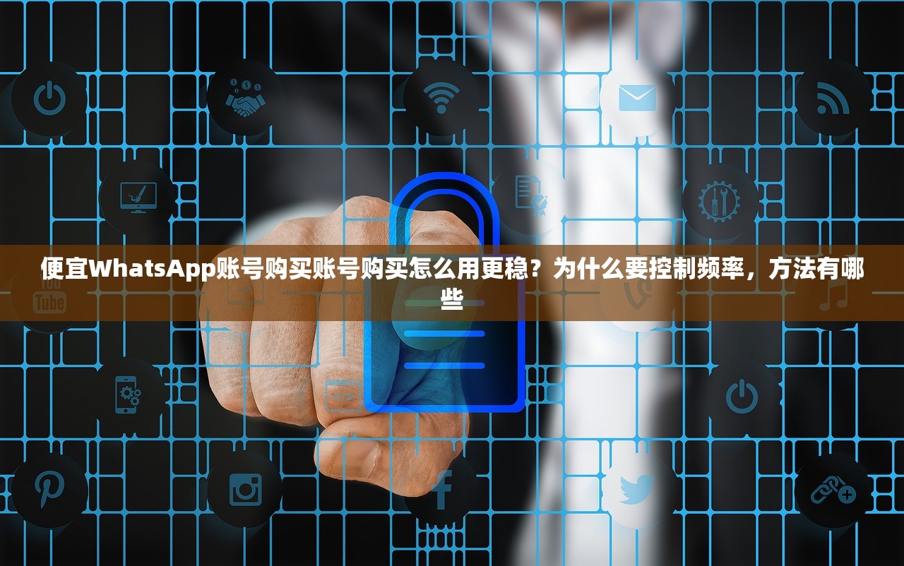 便宜WhatsApp账号购买账号购买怎么用更稳?为什么要控制频率,方法有哪些