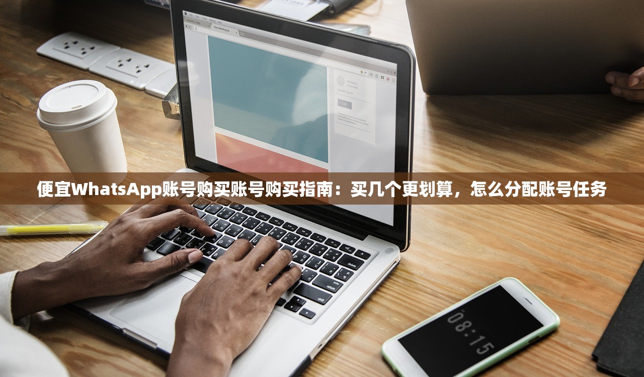 便宜WhatsApp账号购买账号购买指南:买几个更划算,怎么分配账号任务