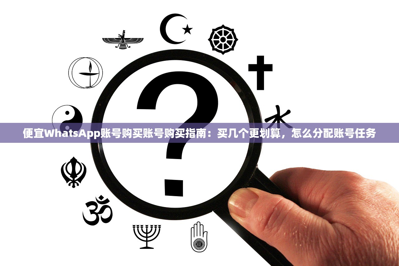 便宜WhatsApp账号购买账号购买指南:买几个更划算,怎么分配账号任务