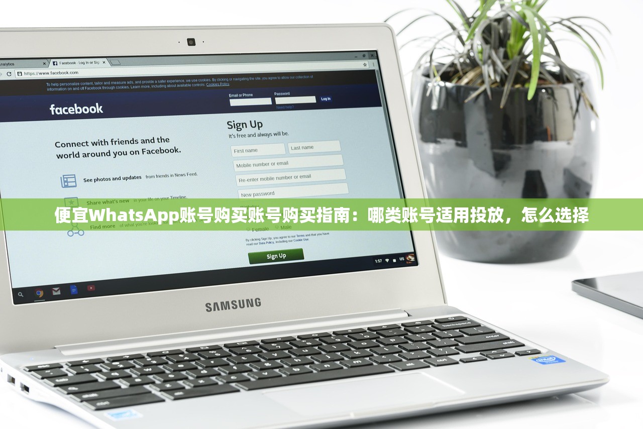 便宜WhatsApp账号购买账号购买指南:哪类账号适用投放,怎么选择