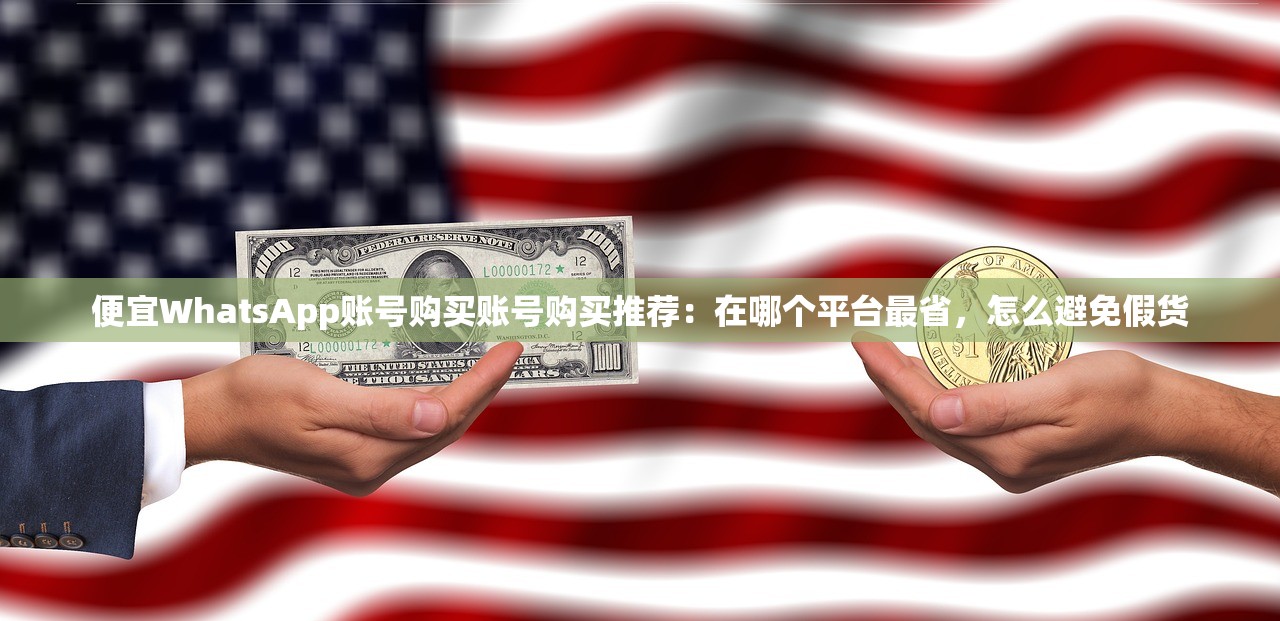 便宜WhatsApp账号购买账号购买推荐:在哪个平台最省,怎么避免假货