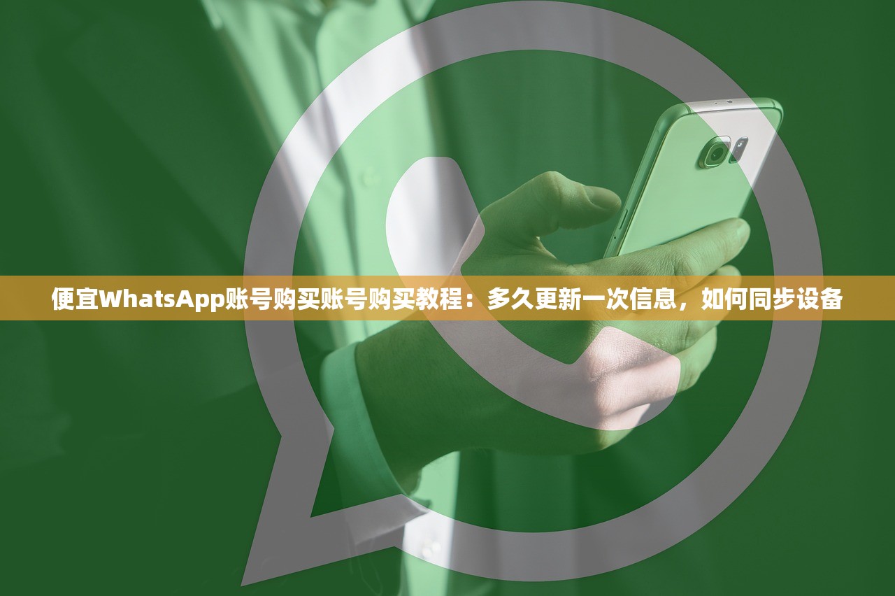 便宜WhatsApp账号购买账号购买教程:多久更新一次信息,如何同步设备