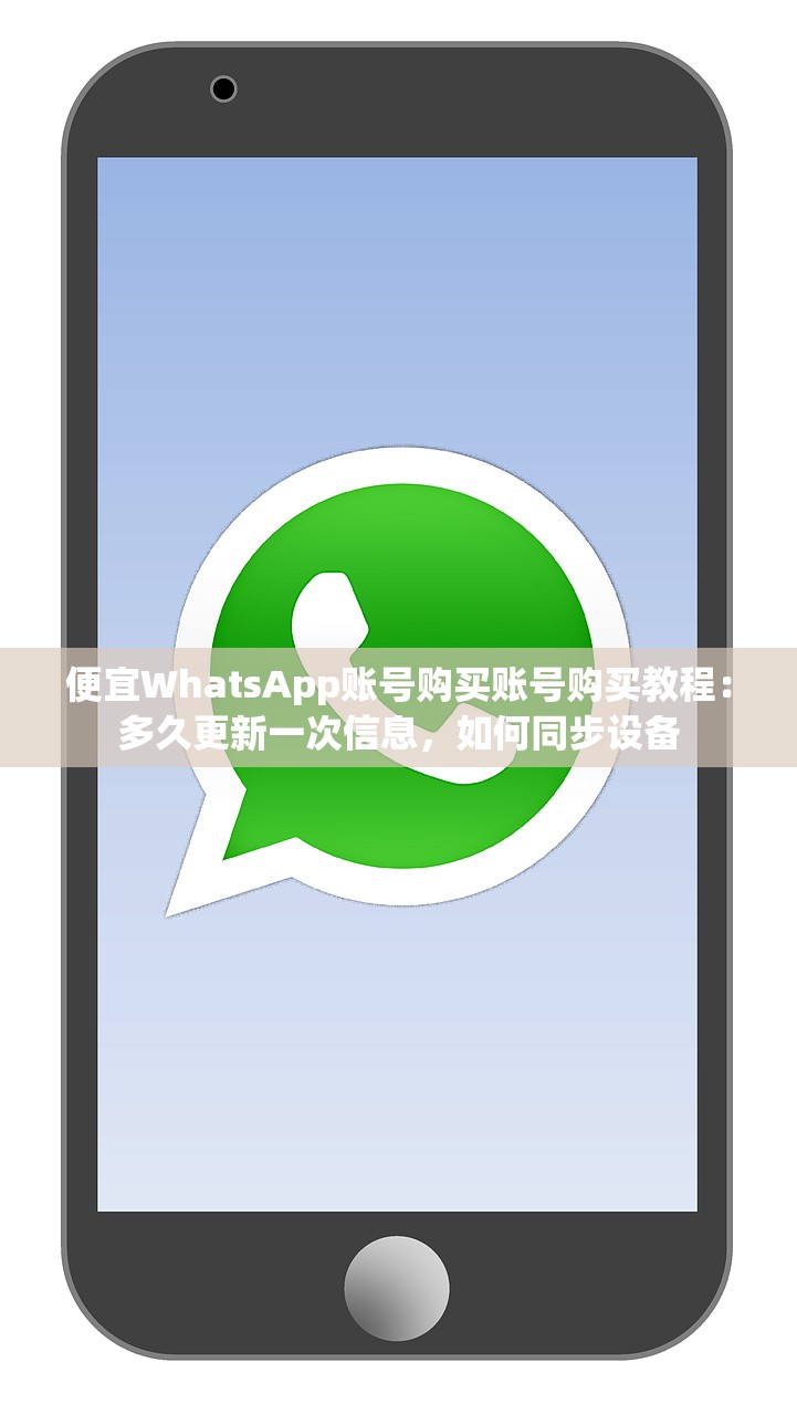 便宜WhatsApp账号购买账号购买教程:多久更新一次信息,如何同步设备