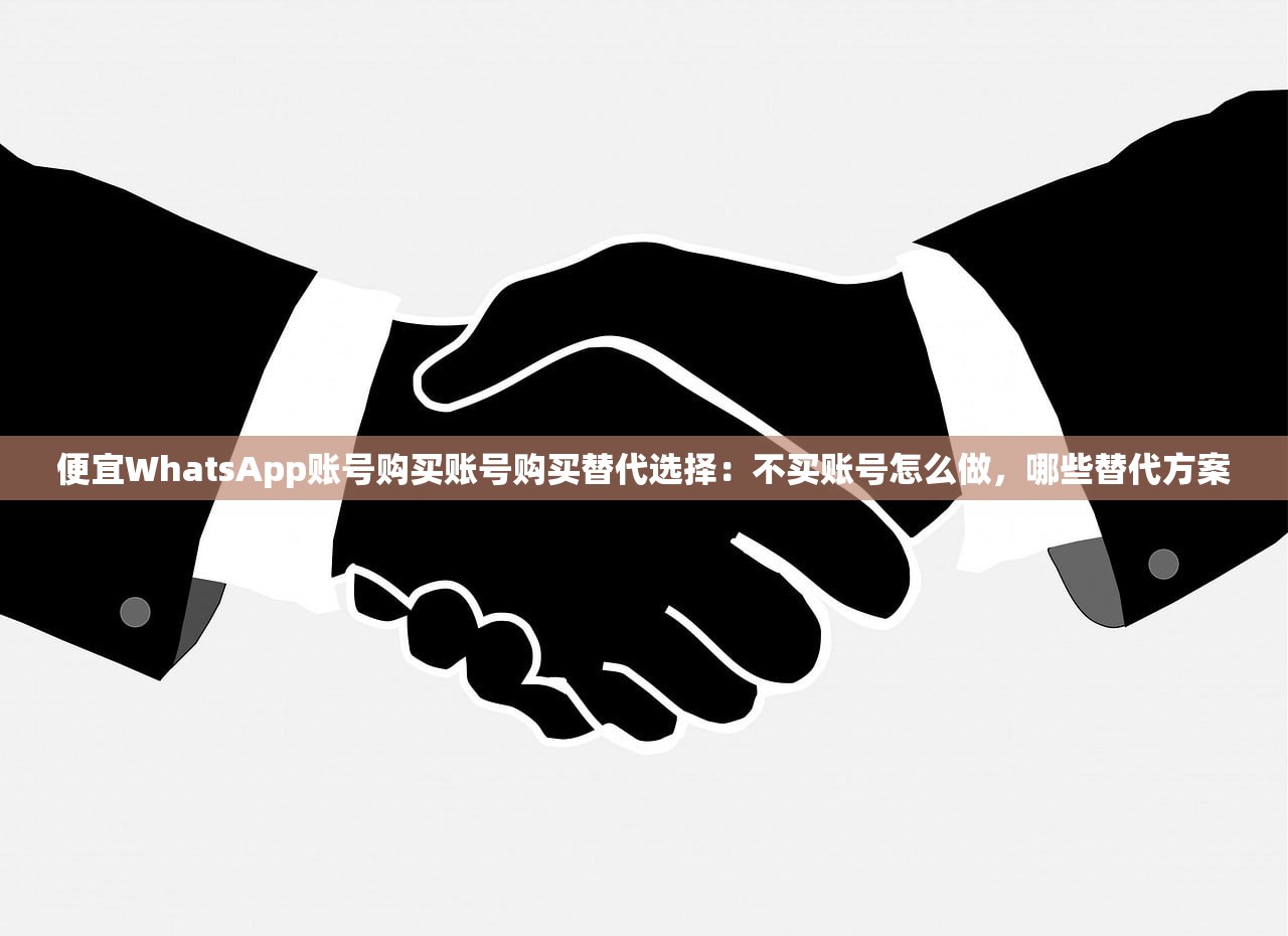 便宜WhatsApp账号购买账号购买替代选择:不买账号怎么做,哪些替代方案