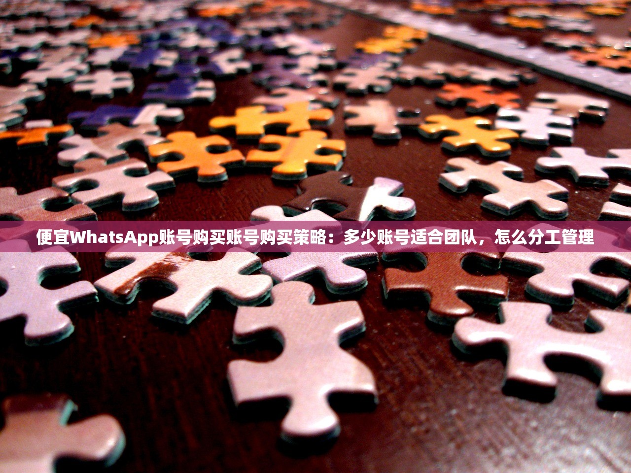 便宜WhatsApp账号购买账号购买策略：多少账号适合团队，怎么分工管理