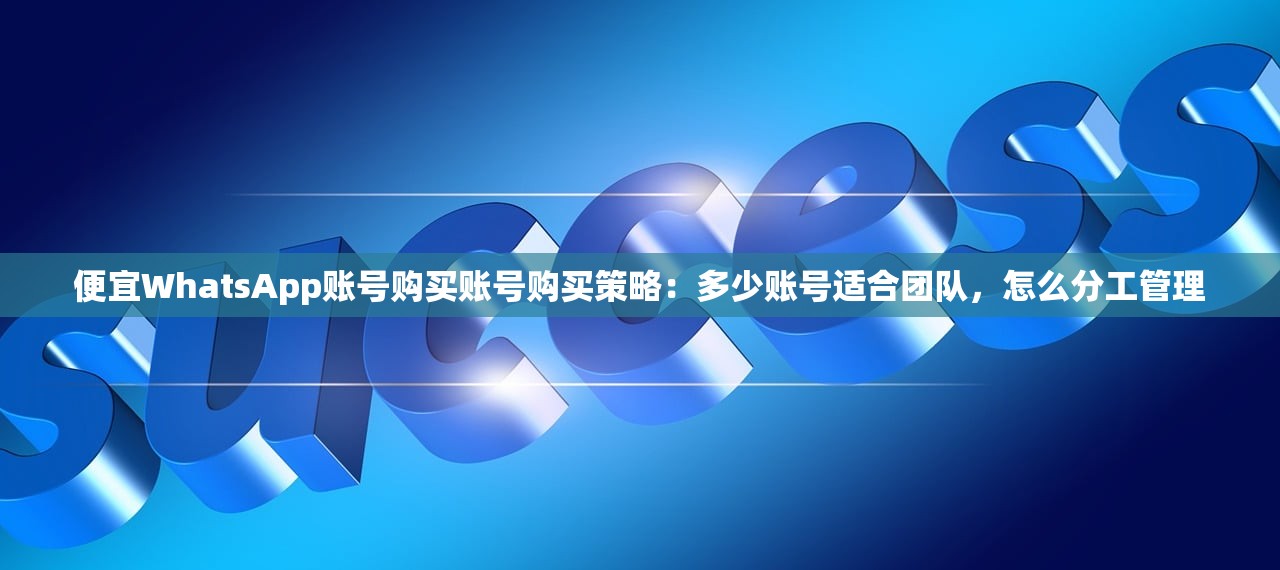 便宜WhatsApp账号购买账号购买策略:多少账号适合团队,怎么分工管理