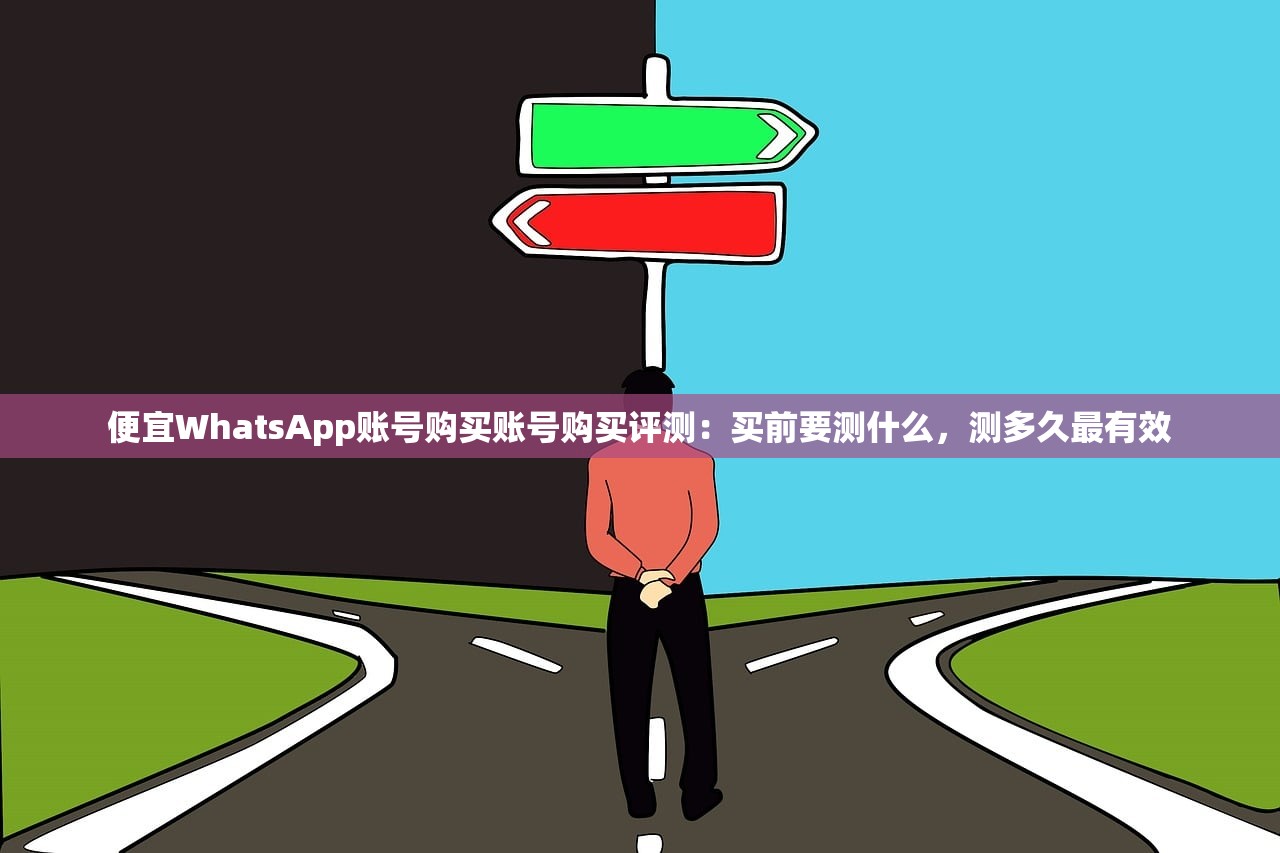 便宜WhatsApp账号购买账号购买评测：买前要测什么，测多久最有效