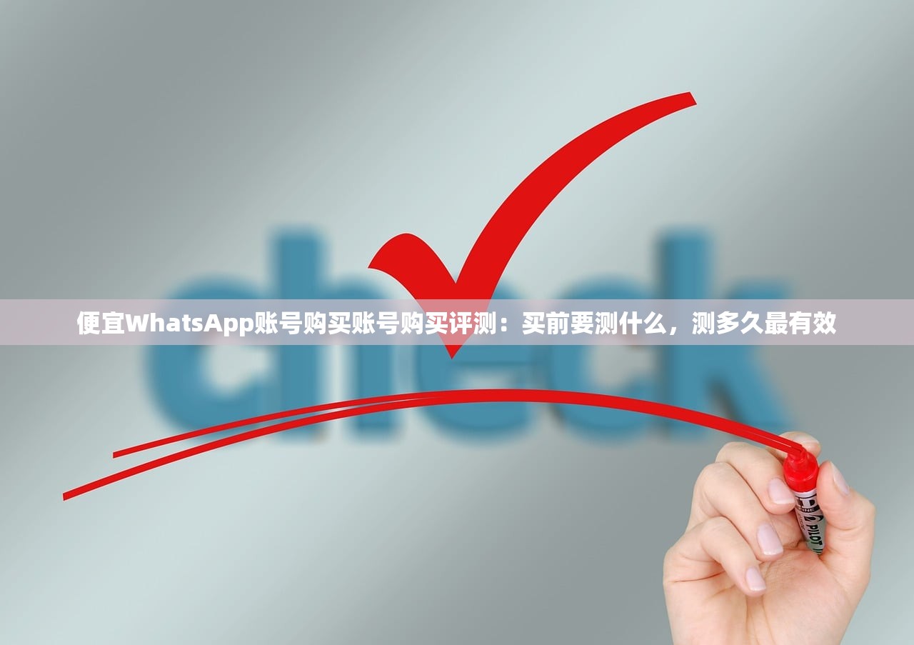 便宜WhatsApp账号购买账号购买评测:买前要测什么,测多久最有效