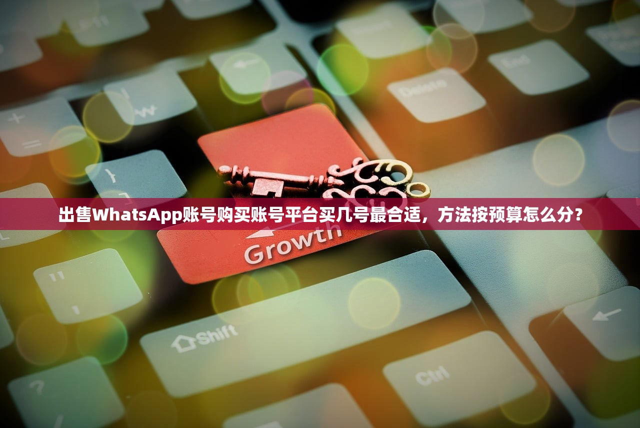 出售WhatsApp账号购买账号平台买几号最合适,方法按预算怎么分?
