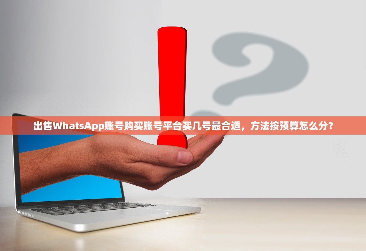 出售WhatsApp账号购买账号平台买几号最合适,方法按预算怎么分?