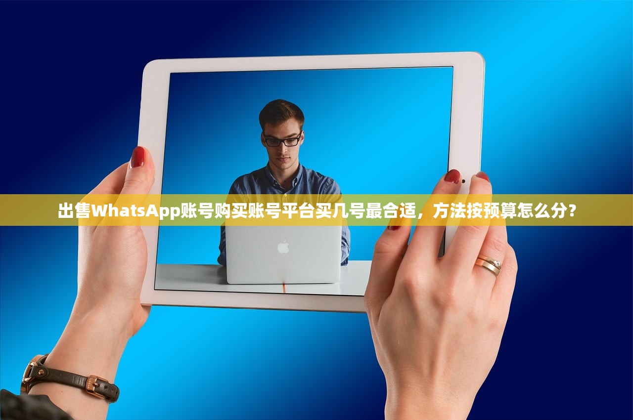 出售WhatsApp账号购买账号平台买几号最合适,方法按预算怎么分?