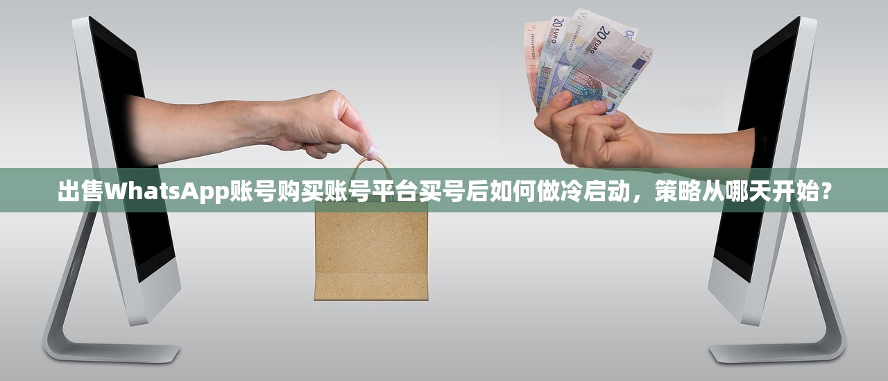 出售WhatsApp账号购买账号平台买号后如何做冷启动,策略从哪天开始?