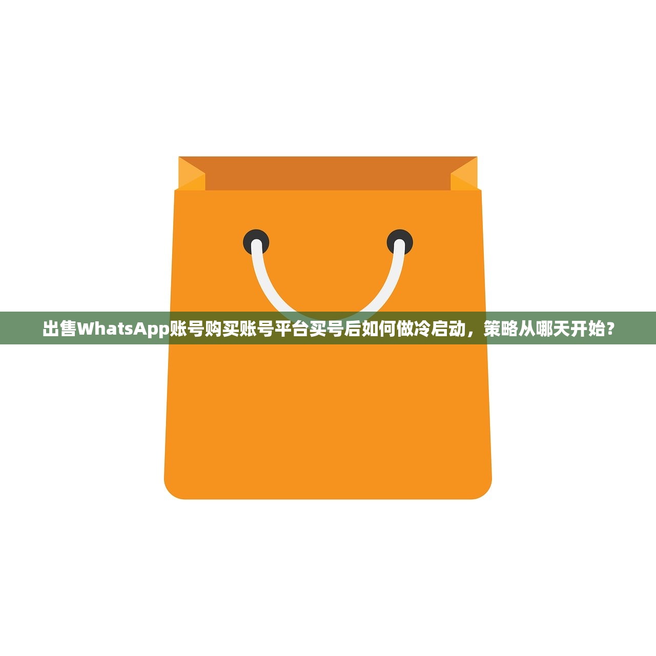 出售WhatsApp账号购买账号平台买号后如何做冷启动,策略从哪天开始?