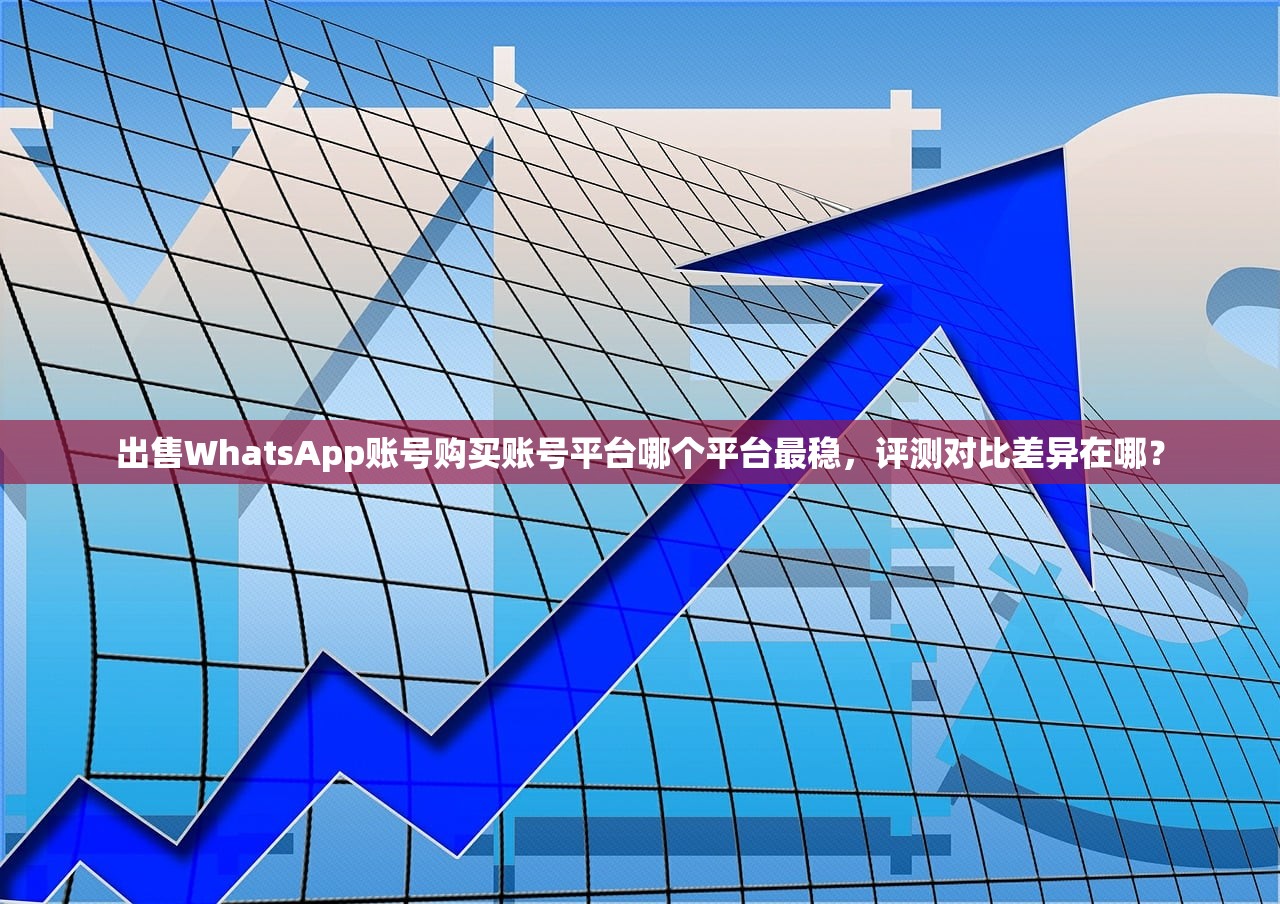出售WhatsApp账号购买账号平台哪个平台最稳,评测对比差异在哪?