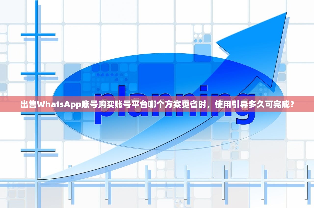 出售WhatsApp账号购买账号平台哪个方案更省时,使用引导多久可完成?