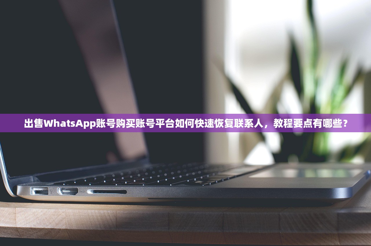 出售WhatsApp账号购买账号平台如何快速恢复联系人,教程要点有哪些?