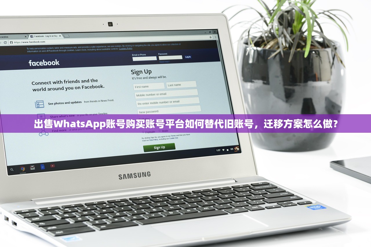 出售WhatsApp账号购买账号平台如何替代旧账号,迁移方案怎么做?