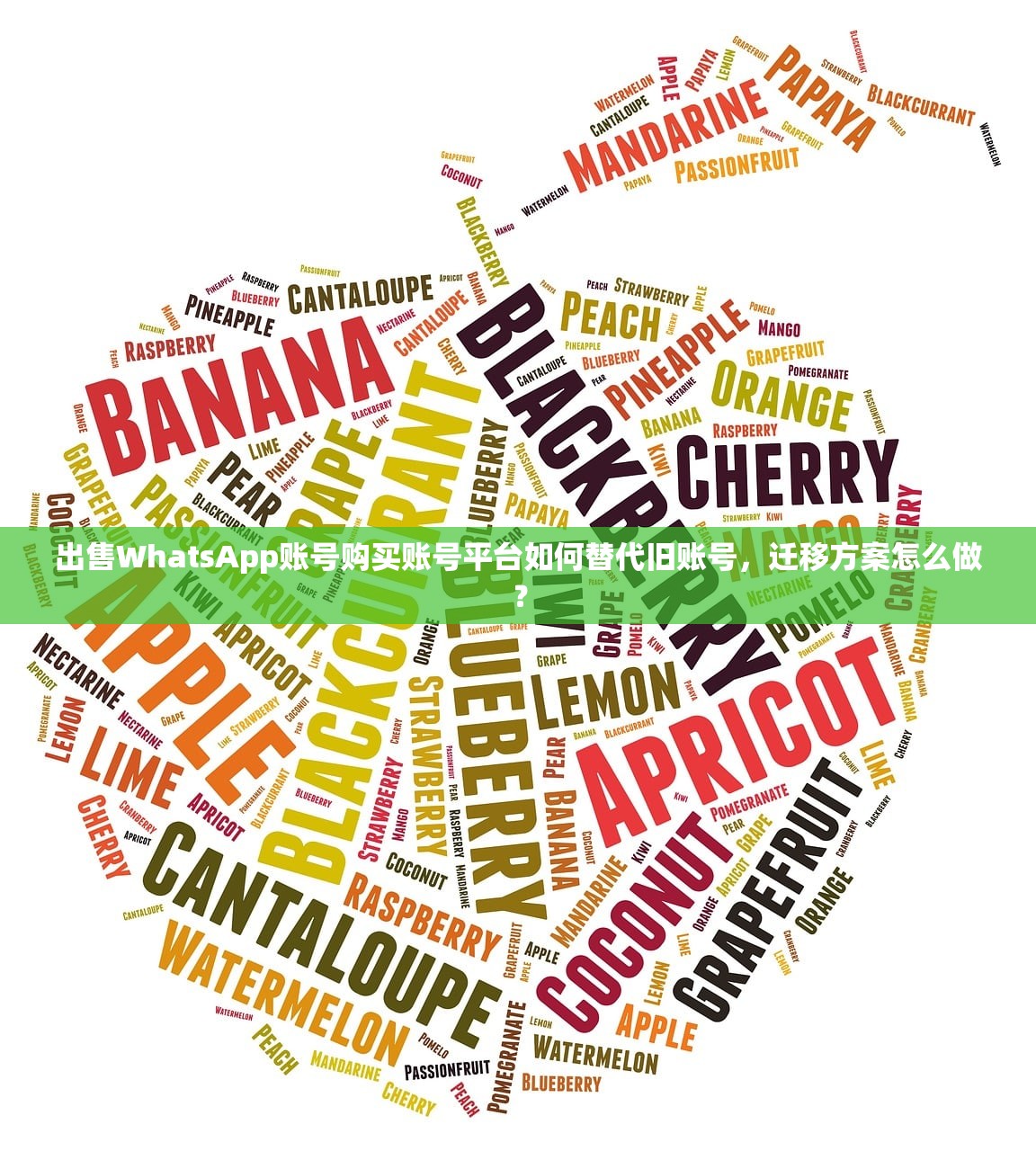 出售WhatsApp账号购买账号平台如何替代旧账号,迁移方案怎么做?