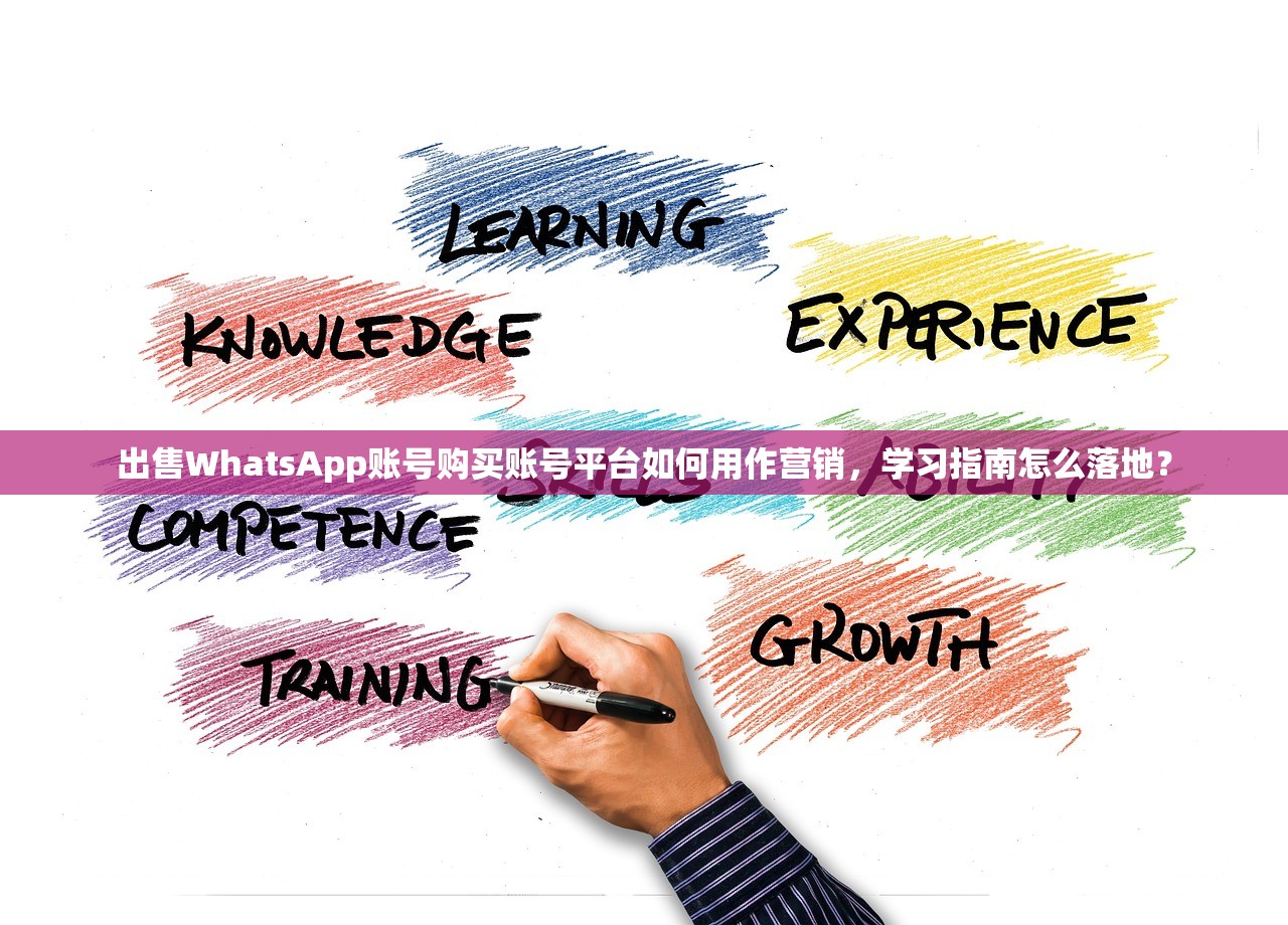 出售WhatsApp账号购买账号平台如何用作营销,学习指南怎么落地?