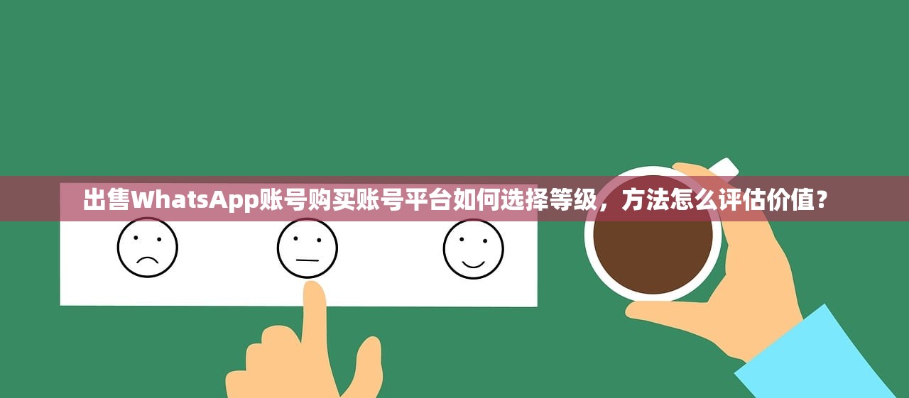 WhatsApp账号购买成品账号购买在哪里查看售后？指南学习与引导