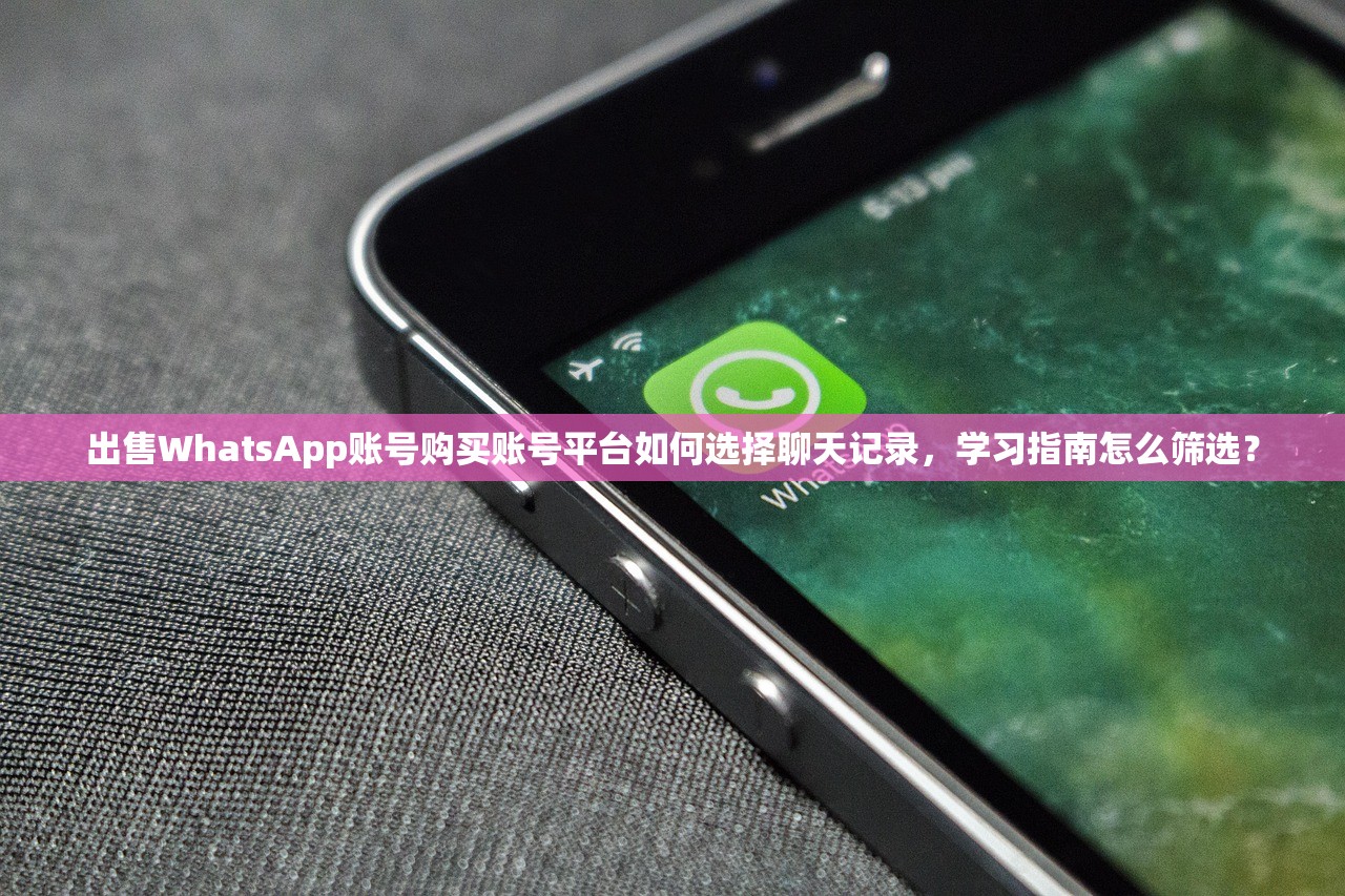 出售WhatsApp账号购买账号平台如何选择聊天记录,学习指南怎么筛选?