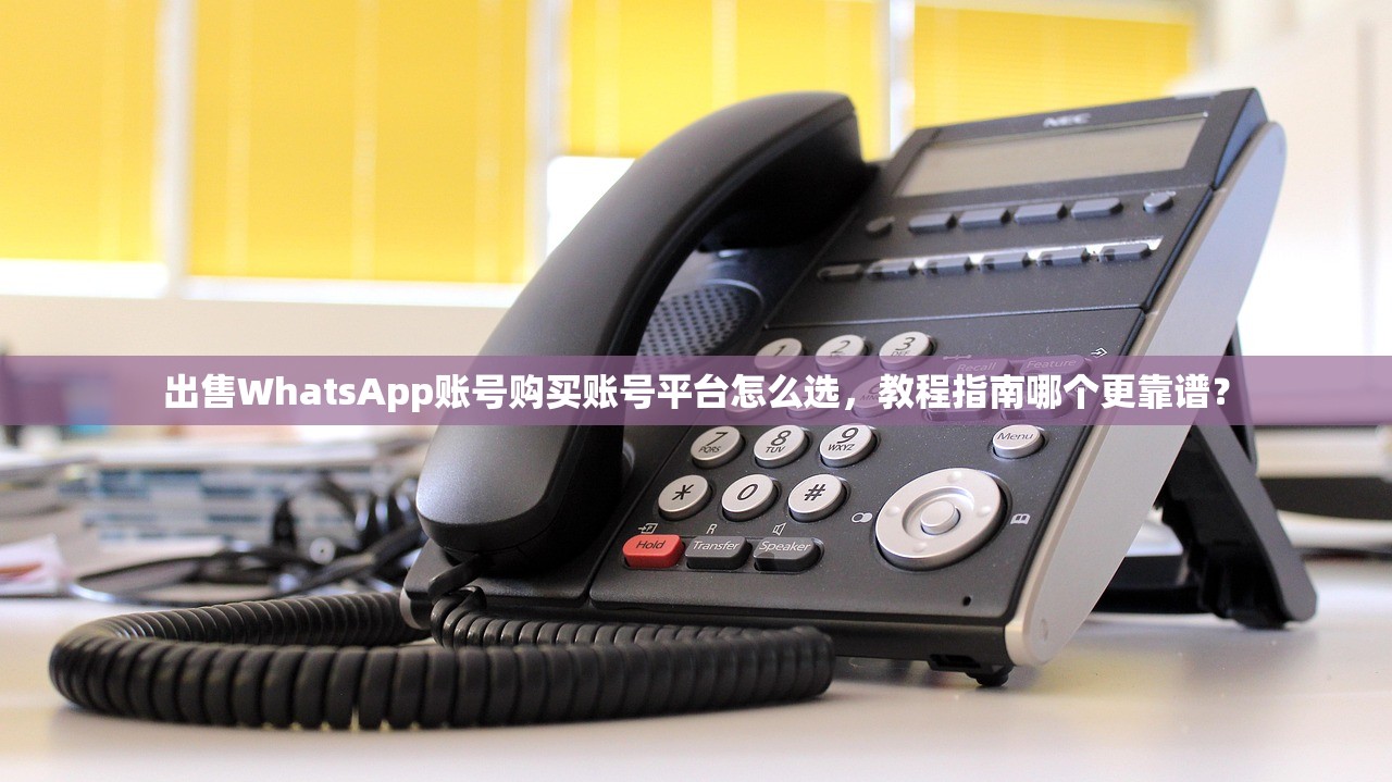 出售WhatsApp账号购买账号平台怎么选,教程指南哪个更靠谱?