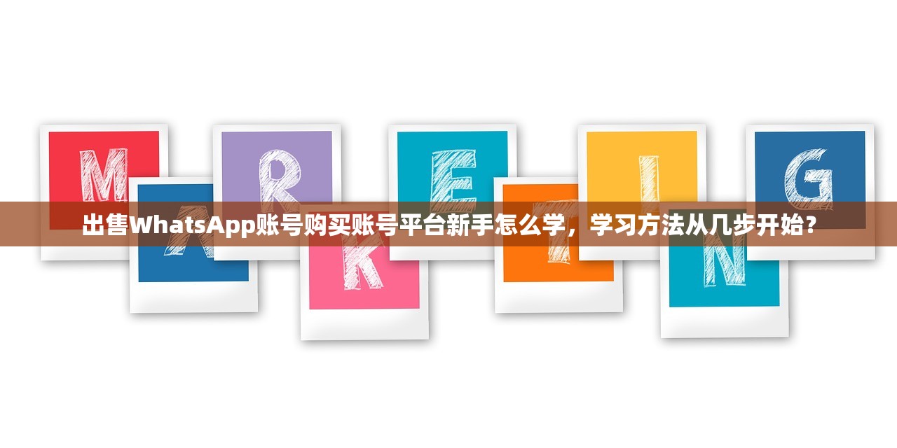 出售WhatsApp账号购买账号平台新手怎么学,学习方法从几步开始?