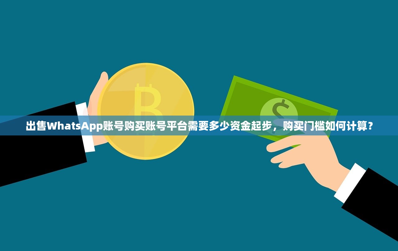 出售WhatsApp账号购买账号平台需要多少资金起步,购买门槛如何计算?