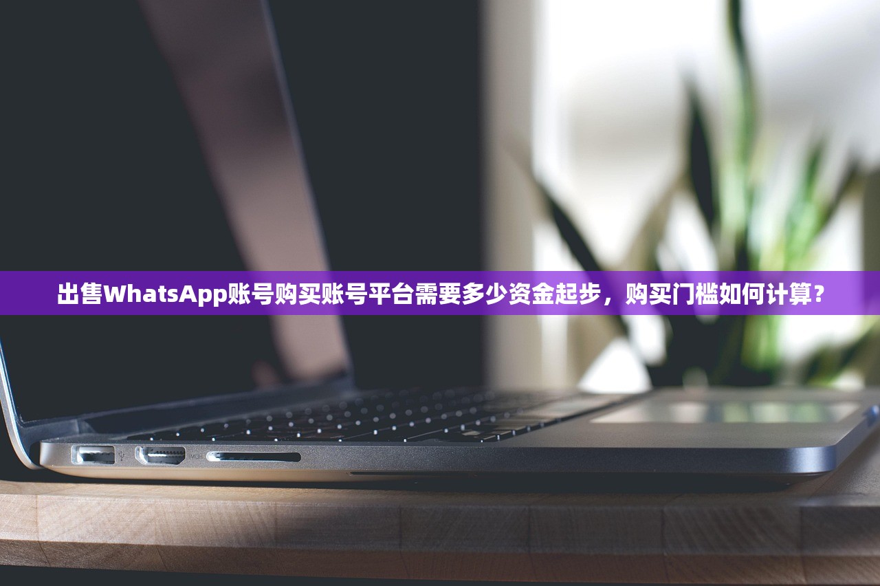 出售WhatsApp账号购买账号平台需要多少资金起步,购买门槛如何计算?