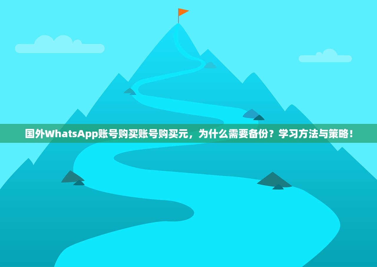 国外WhatsApp账号购买账号购买元,为什么需要备份?学习方法与策略!