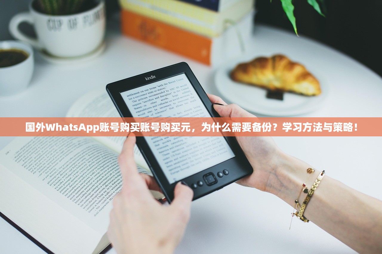 国外WhatsApp账号购买账号购买元,为什么需要备份?学习方法与策略!