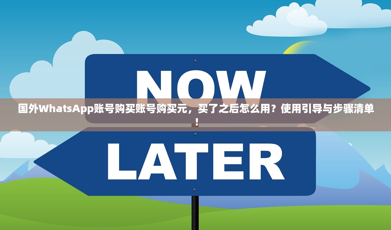 WhatsApp账号购买小号自助下单,哪种设置更适合新手学习指南