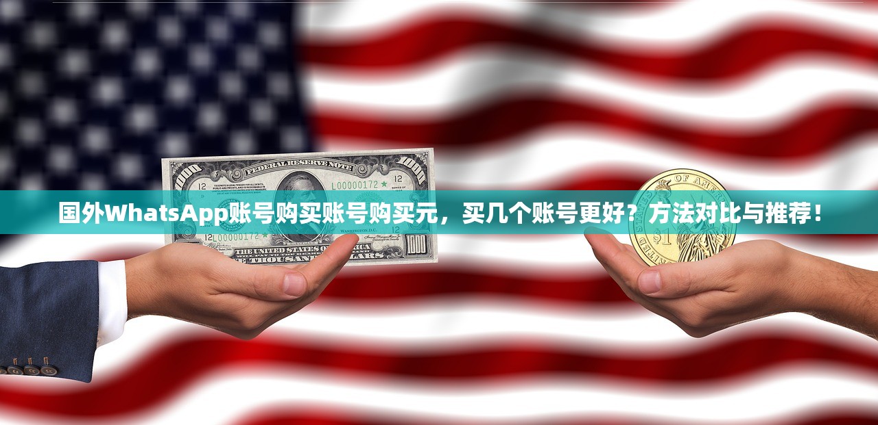 国外WhatsApp账号购买账号购买元,买几个账号更好?方法对比与推荐!