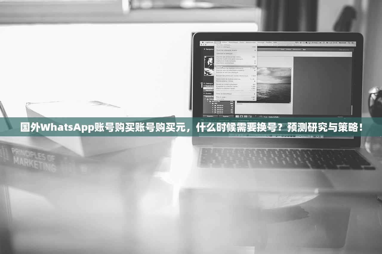 国外WhatsApp账号购买账号购买元,什么时候需要换号?预测研究与策略!